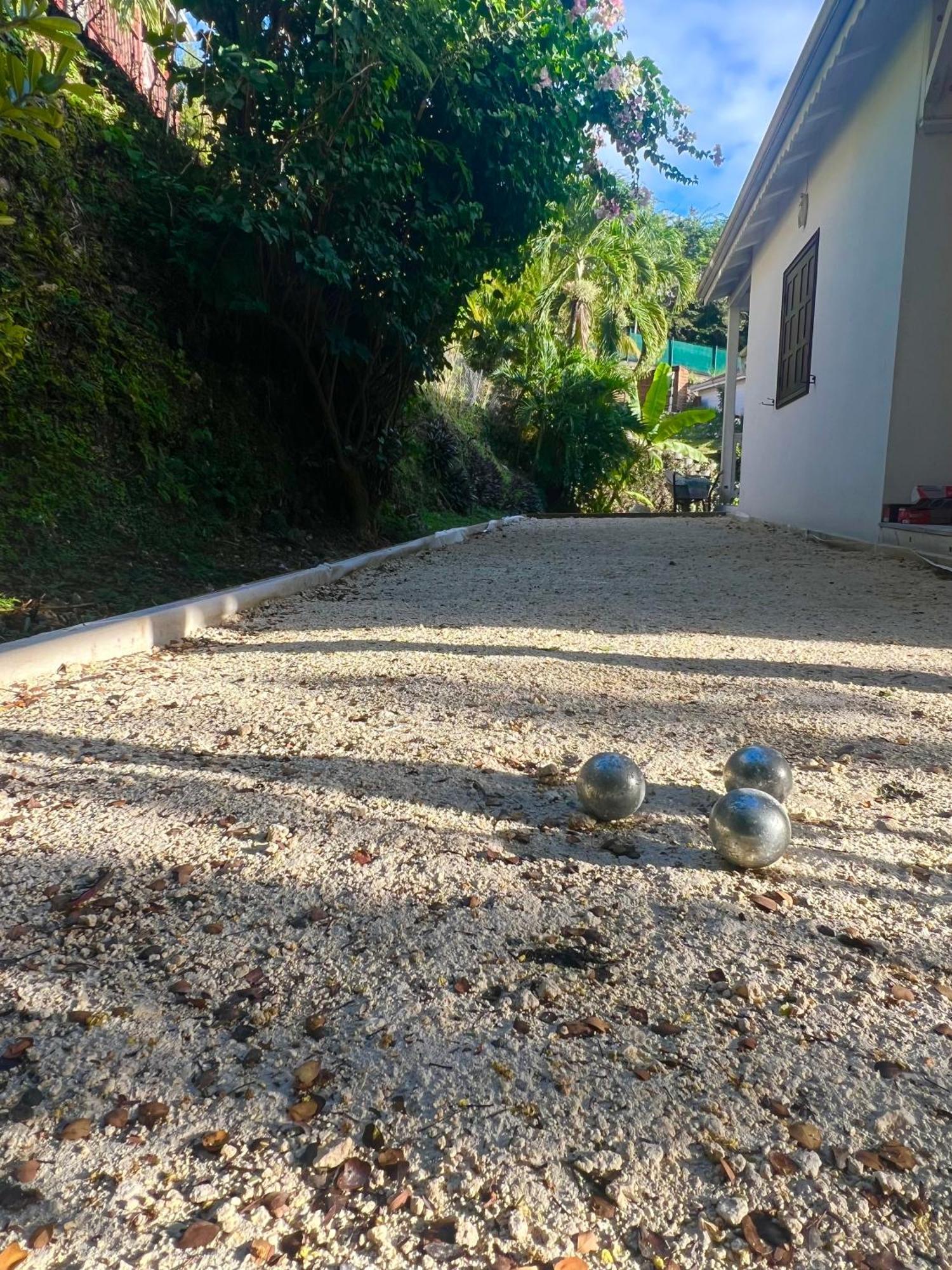 Spacieuse Villa Corossol Avec Piscine Et Jeux Exterieurs ル・ゴジエ エクステリア 写真